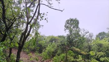 तुंग किल्ल्याच्या पायथ्याशी मातीचा खराळ वाहून आला; तुम्ही गावठाणाला धोका कायम